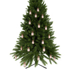 Décorations de traîneau