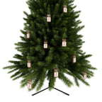 Décorations de traîneau