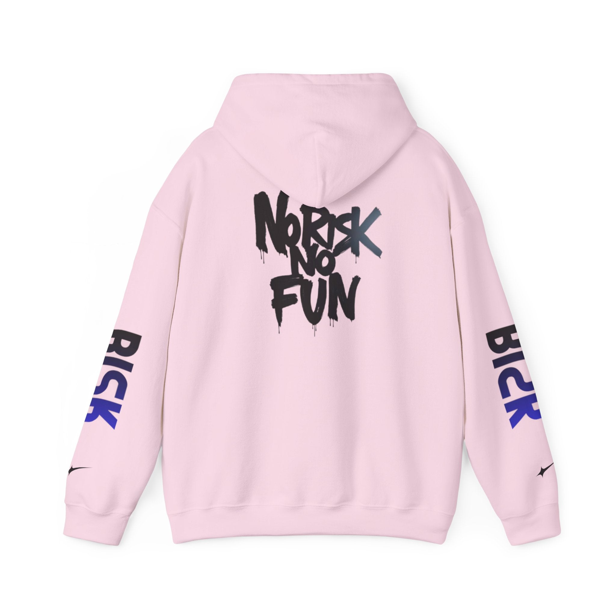 Sweat à capuche Unisexe « No Risk No Fun »